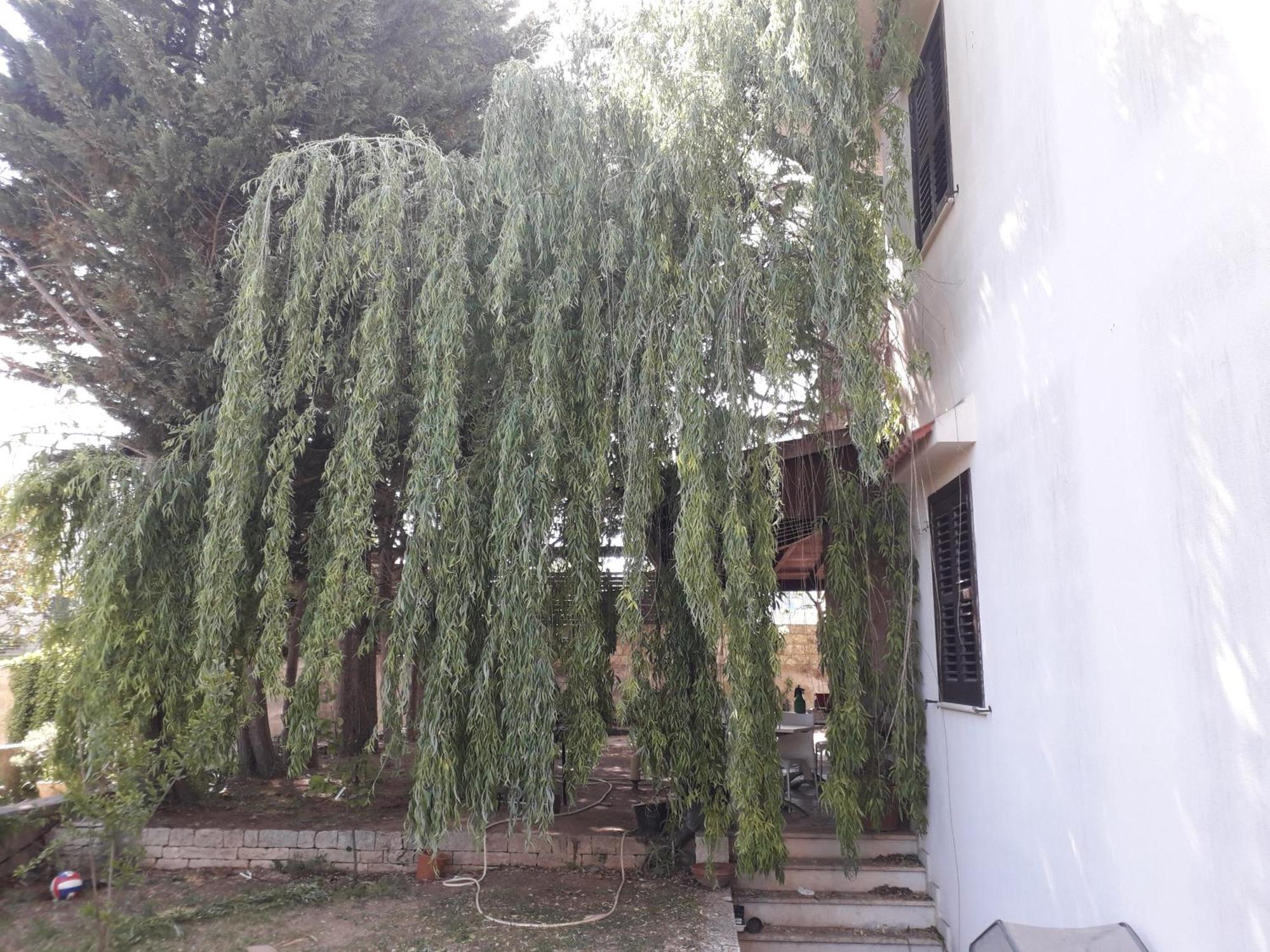 B&B Villa Victoria Рагуза Экстерьер фото