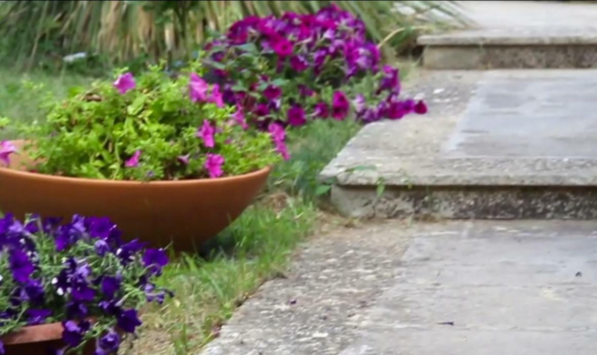 B&B Villa Victoria Рагуза Экстерьер фото